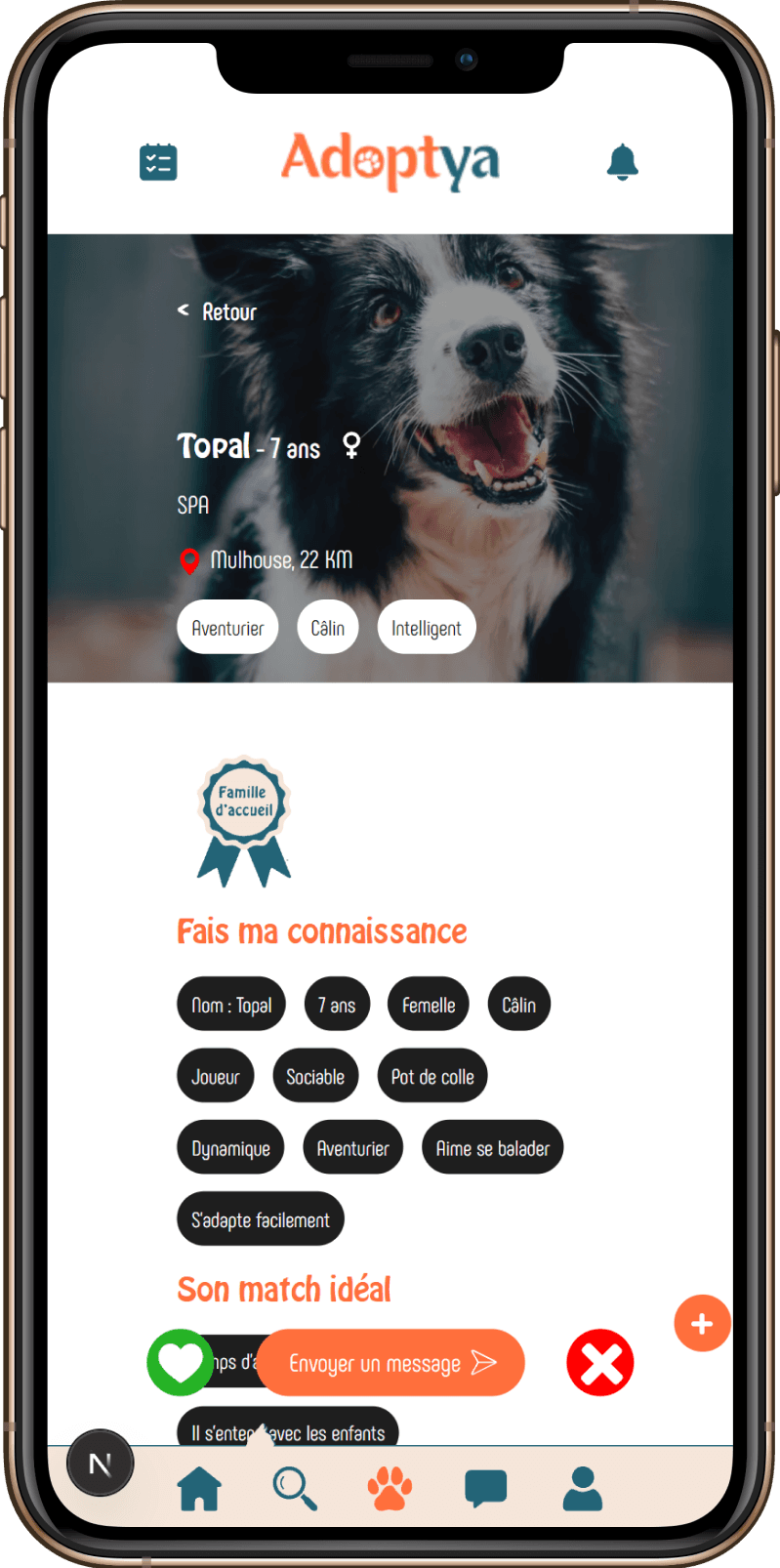 Exemple de fiche animal sur l'application Adoptya